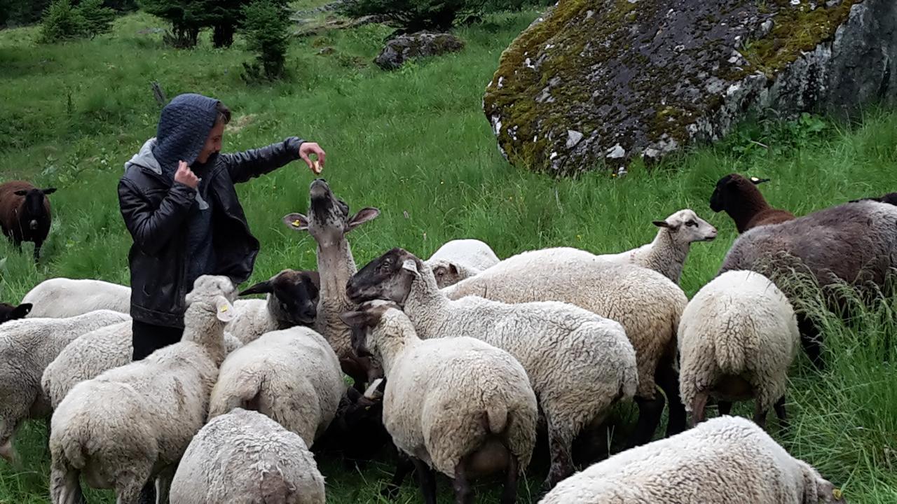 Val Des Dix 호텔 Couta 외부 사진